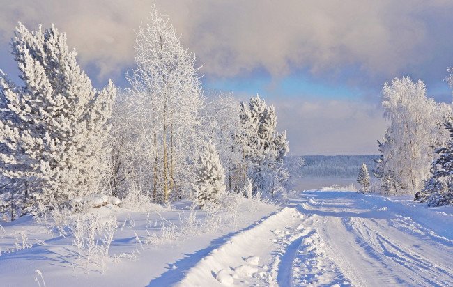 Обои картинки фото природа, зима, снег, дорога, иней, мороз
