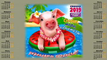 Картинка календари праздники +салюты свинья поросенок вода круг