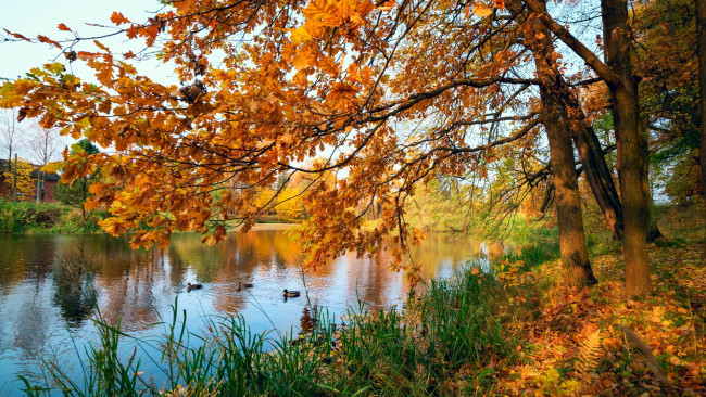 Обои картинки фото derbyshire, england, природа, реки, озера