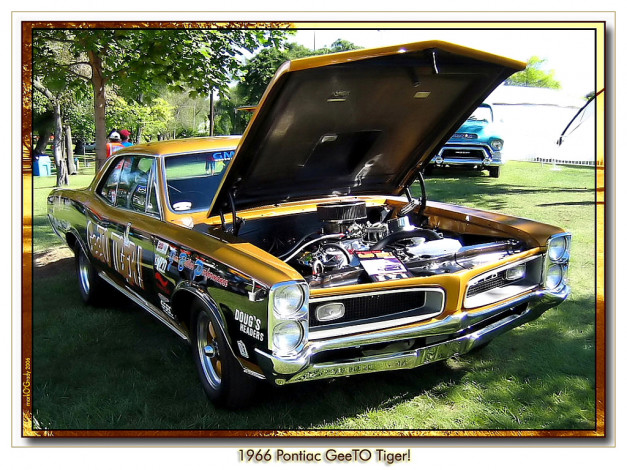 Обои картинки фото 1966, geeto, tiger, автомобили, pontiac