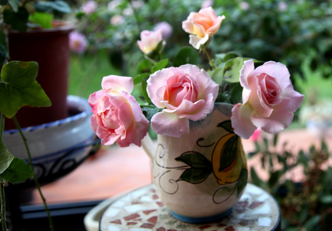 Обои картинки фото цветы, розы, розовый, кувшин
