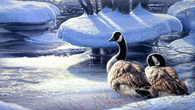 Обои картинки фото winter, thaw, рисованные, jay, johnson, пара, зима, гуси