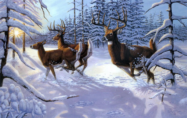 Обои картинки фото winter, glory, рисованные, gene, stewart, зима, солнце, олени