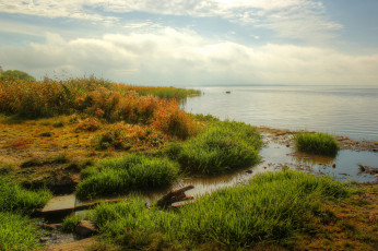 Картинка природа побережье река трава