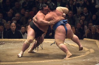 Картинка спорт другое сумо борьба ринг гиганты толстяки