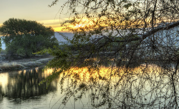 Картинка природа реки озера ветки дерево река заря