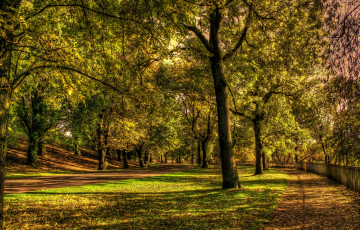 Картинка природа парк осень дорожки забор деревья