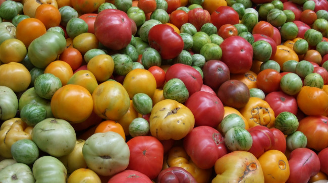 Обои картинки фото еда, помидоры, разноцветные, зелёные, красные, оранджевые