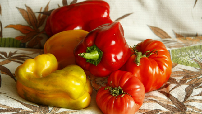 Обои картинки фото еда, овощи, лето, пища, помидоры, перец, красные, желтые