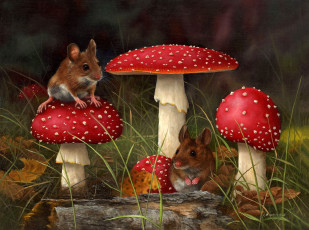 Картинка рисованное животные +мыши +крысы трава лес арт carl andrew whitfield мышка мухомор гриб
