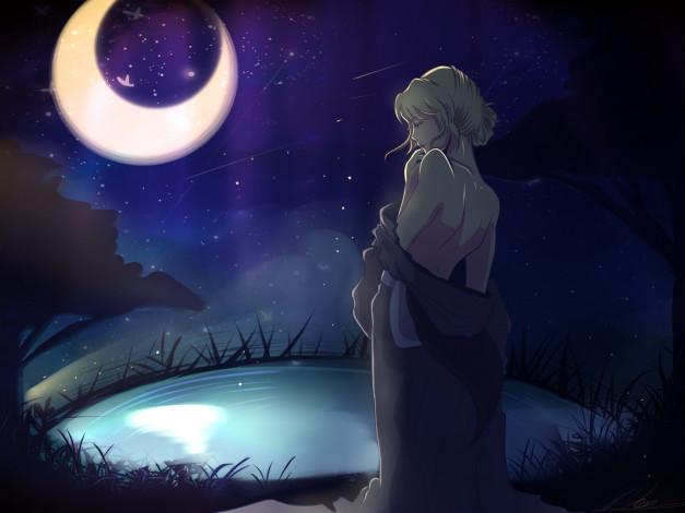 Обои картинки фото аниме, unknown,  другое, звезды, девушка, небо, спина, ночь, shiori, луна