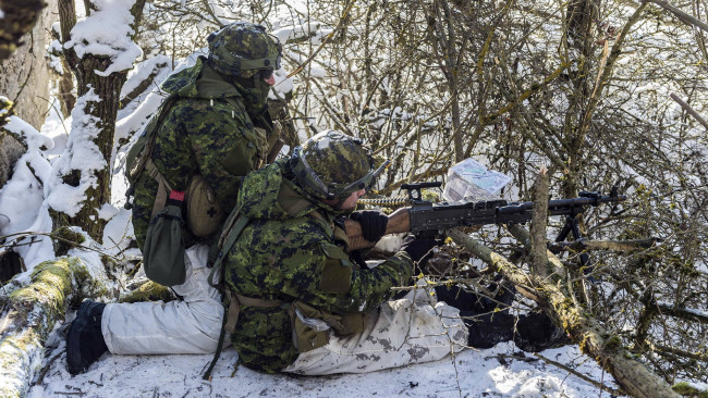 Обои картинки фото оружие, армия, спецназ, солдаты, canadian, army