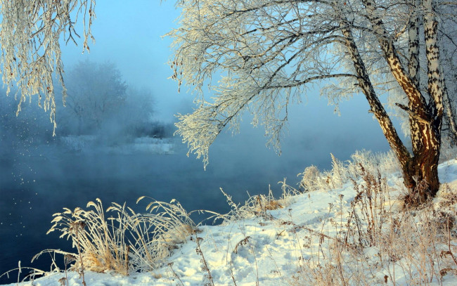 Обои картинки фото природа, реки, озера, зима, снег, туман, озеро, деревья, трава, берега