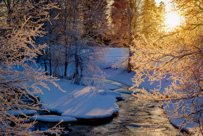 Обои картинки фото природа, реки, озера, зима, закат, лес, деревья, речка