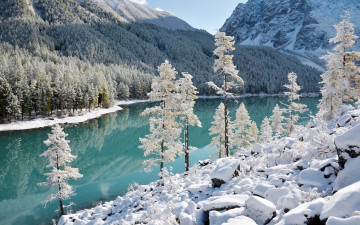 Картинка природа зима озеро река деревья лес простор снег