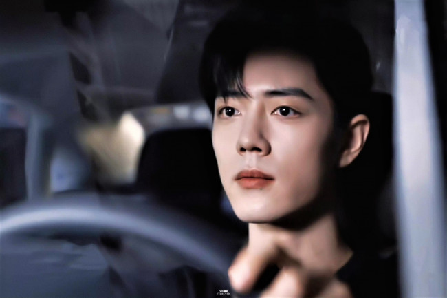 Обои картинки фото мужчины, xiao zhan, лицо, машина, руль