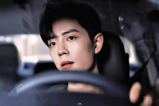 Обои картинки фото мужчины, xiao zhan, лицо, машина, руль