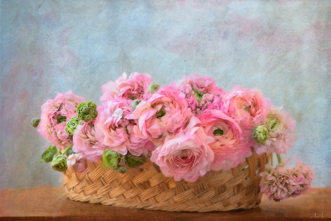 Обои картинки фото рисованное, цветы, корзина, розовый, букет
