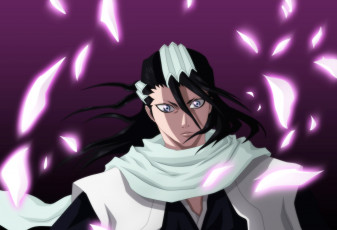 обоя kuchiki, byakuya, аниме, bleach