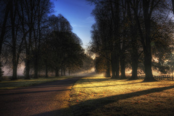 Картинка природа дороги лес утро туман дорога забор