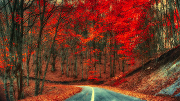 Картинка природа дороги краски осень лес шоссе