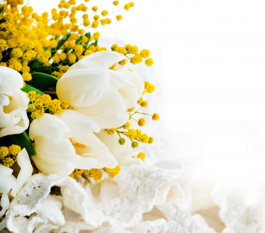 Обои картинки фото цветы, разные вместе, мимоза, белый, фон, тюльпаны