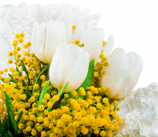 Обои картинки фото цветы, разные вместе, мимоза, тюльпаны, белый, фон