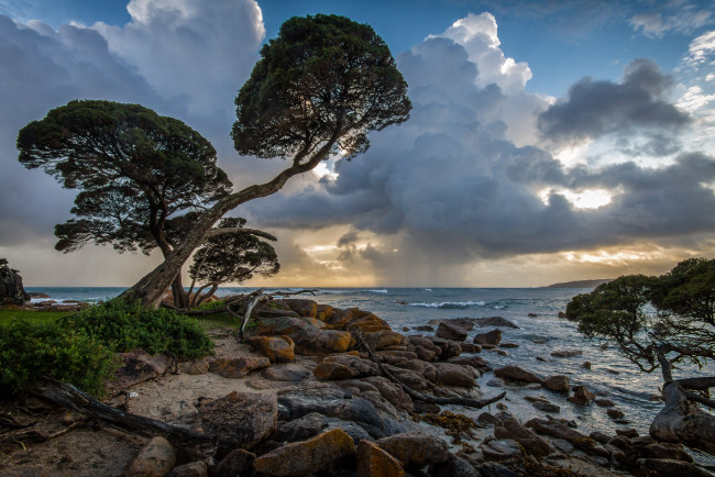 Обои картинки фото природа, побережье, деревья, камни, волны, горизонт, берег, океан