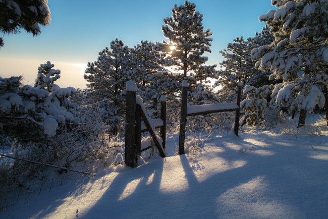 Обои картинки фото природа, зима, сугробы, забор, свет, лес, снег