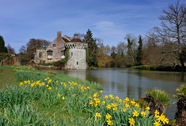 Обои картинки фото scotney old castle, города, - дворцы,  замки,  крепости, замок, река, цветы