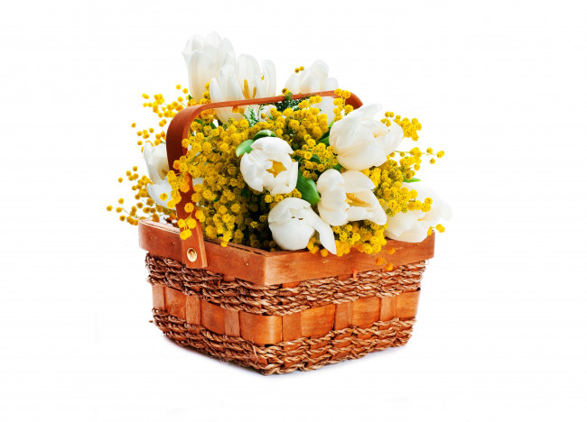 Обои картинки фото цветы, разные вместе, тюльпаны, мимоза, корзина, белый, фон