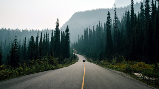 Обои картинки фото природа, дороги, шоссе, туман