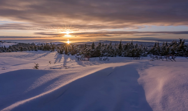 Обои картинки фото природа, зима, утро, свет, снег, холод