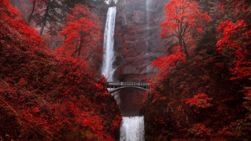 Картинка multnomah+falls природа водопады multnomah falls деревья полнолуние мост горы растения скалы вода водопад+малтнома oрегон cша