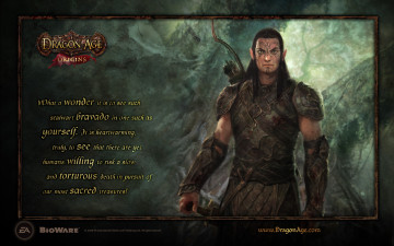 Картинка видео игры dragon age origins