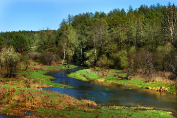 Картинка природа реки озера весна