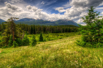 Картинка природа деревья канада