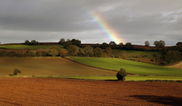 Картинка природа радуга поля