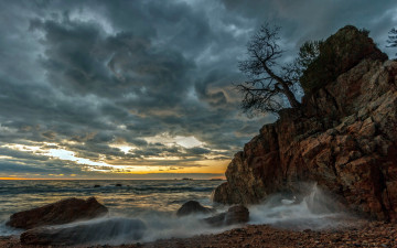 Картинка природа побережье тучи океан волны дерево скала