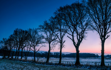 Картинка природа деревья зима иней утро рассвет заря норвегия поляна поле