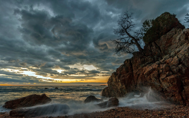 Обои картинки фото природа, побережье, тучи, океан, волны, дерево, скала
