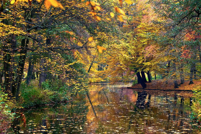 Обои картинки фото природа, реки, озера, вода, осень, листья