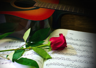 Картинка цветы розы бутон ноты