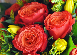 Картинка цветы разные+вместе тюльпаны розы