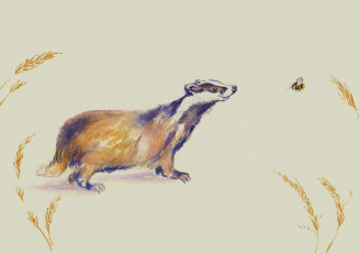 Картинка рисованное животные акварель мордашка пчёлка барсук