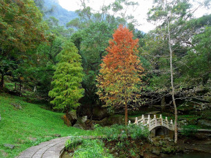 Картинка природа парк аллея водоем мостик осень