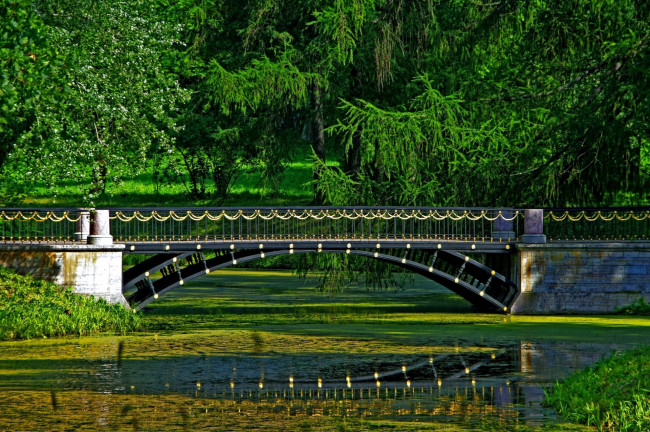 Обои картинки фото природа, парк, мостик, зелень, водоем