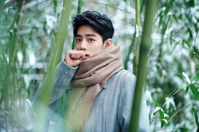 Обои картинки фото мужчины, xiao zhan, актер, шарф, пальто, снег, лес, бамбук