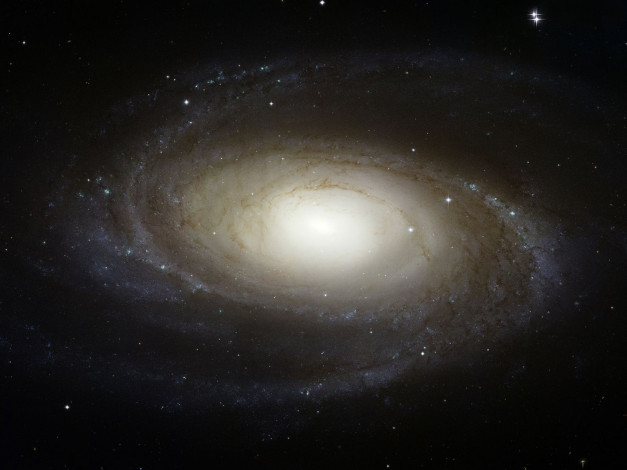 Обои картинки фото галактика, m81, космос, галактики, туманности