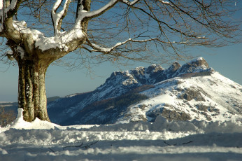 Картинка aiako harria basque country spain природа деревья снег дерево испания зима